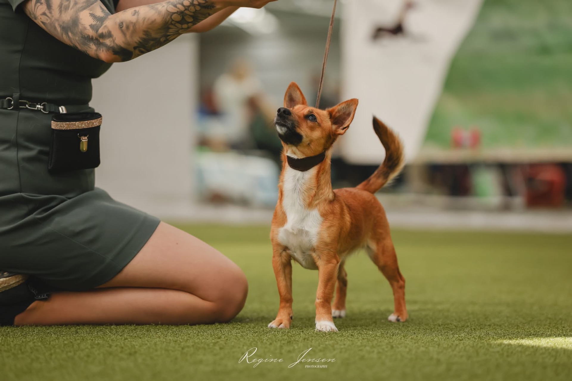 Bergtatt Av Beautiful Babygirl♀️